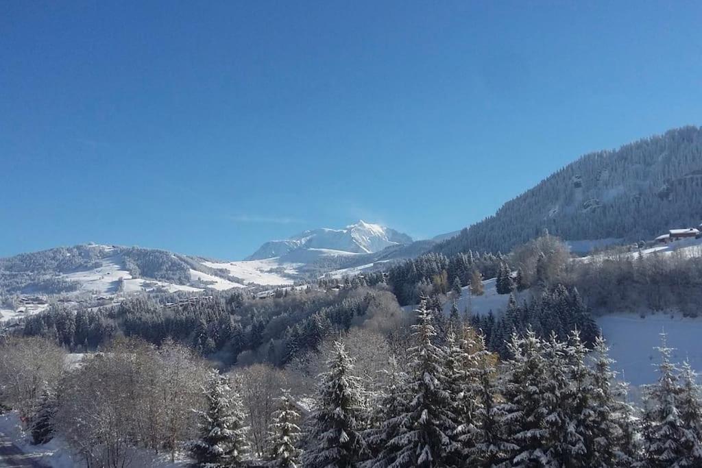 מגב Chalet Vue Mont-Blanc, +4 Chambres, Cheminee מראה חיצוני תמונה